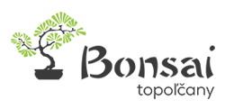 Bonsai Topoľčany